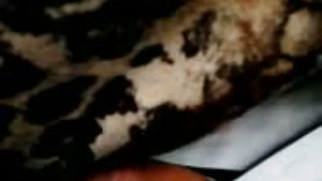 Porno chaud pas d'inscription  Plantureuse fille avec insatiable film x lisbienne copain dans Merde