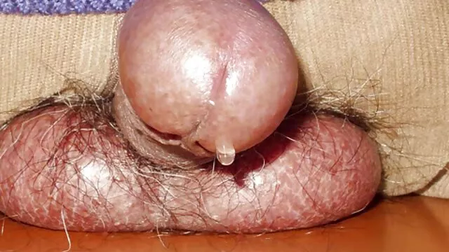 Porno chaud pas d'inscription  Petits enfants sucé video gratuite lesbi une petite amie à la maison